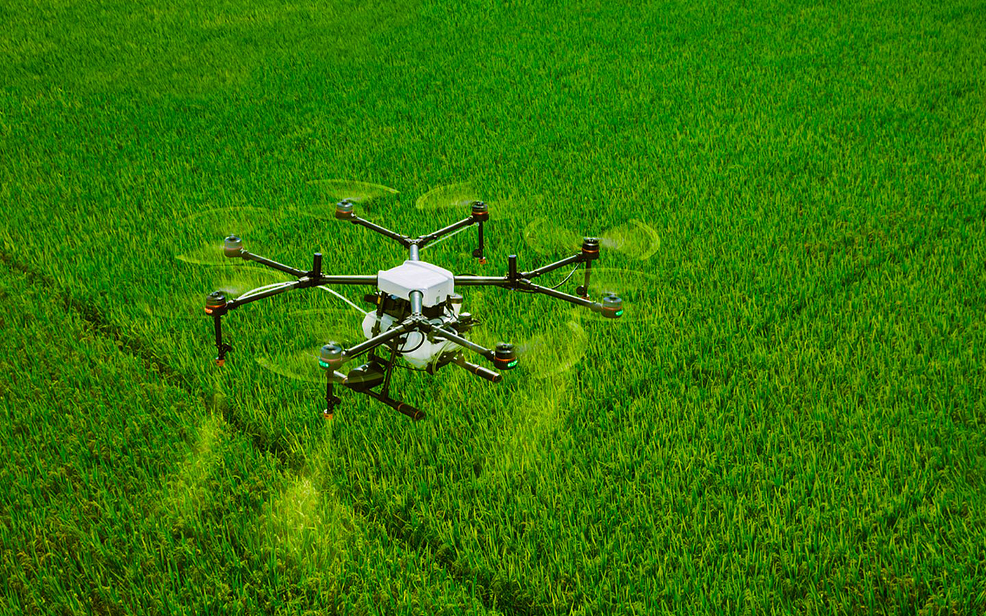 清乾隆《杭州府志》中對朱養(yǎng)心的記載