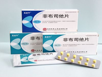 非布司他片（20mg、 40mg）